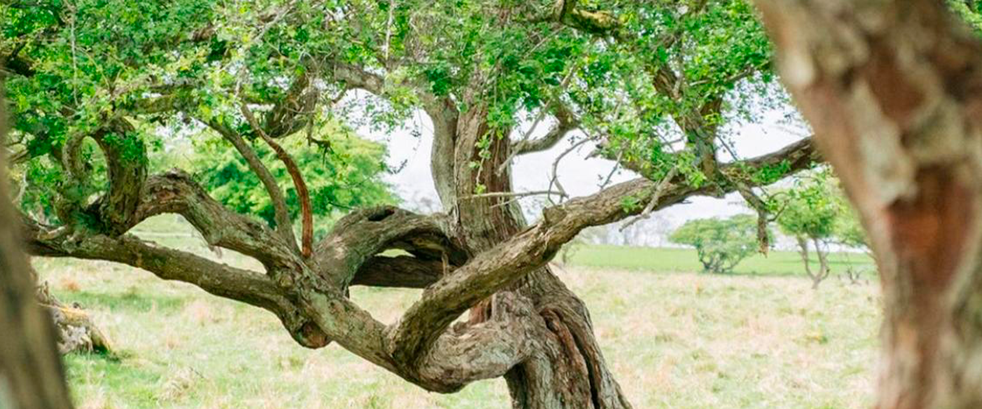 Understanding the Environmental Impact of Hair Care Products