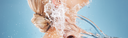 Best Hair Mask for Hydration