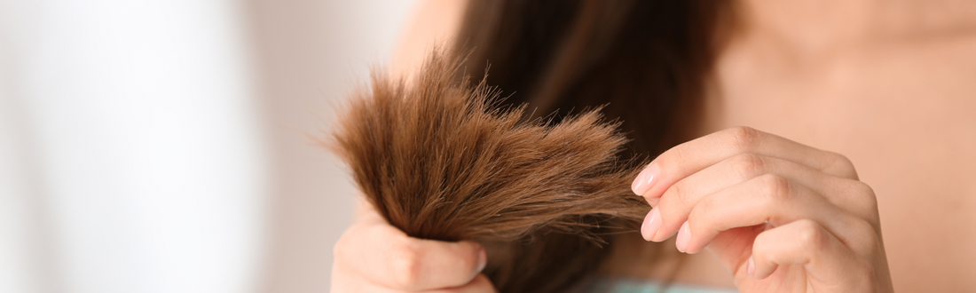 Unlock the genetic and hormonal secrets of healthy hair. Learn where hair genes come from and why post-pregnancy hair loss happens.