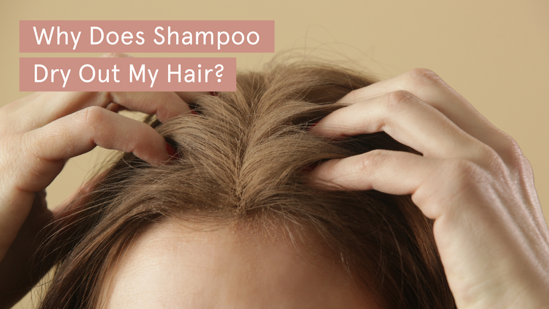Why Does Shampoo Dry Out My Hair?